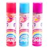 Lip Smacker Holiday Lip Balm Trio Tin – Gingerbread Cookie, Sprinkle Cookie & Oatmeal Cookie, Festive Flavored Lip Balms, Moisturizing Holiday Gift Set(Unicorn Delight  Rainbow Berry  Enchanting Cherry)
